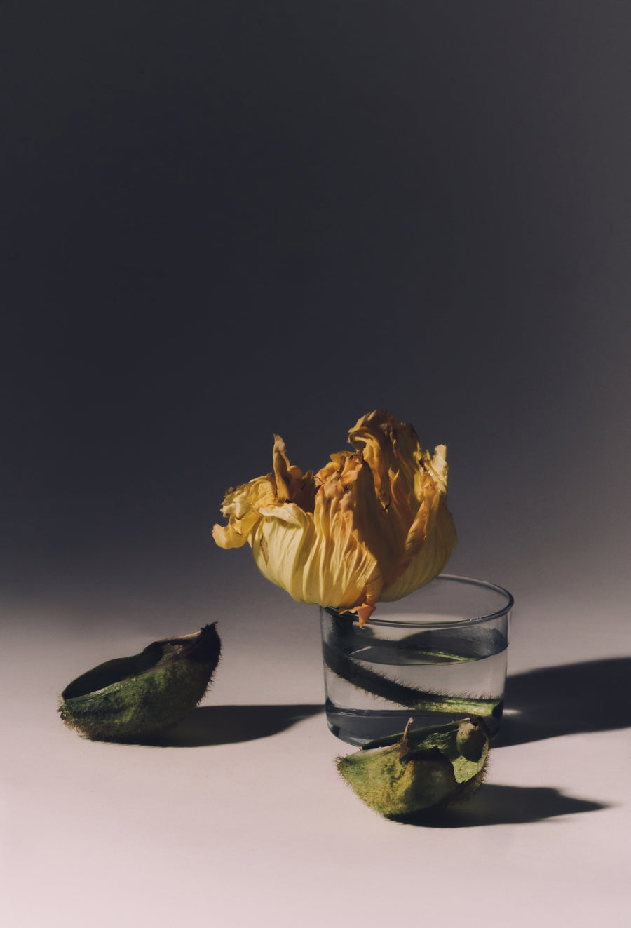 Tulipe dans un verre d'eau, tirage sur lin, The K. Edits